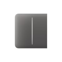 AJAX SideButton (2-gang) - šedá